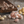 Charger l'image dans la galerie, Meringues Champignons