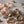 Charger l'image dans la galerie, meringue gouter sucré bon gourmand moelleux tendre pur sucre glace saupoudré praline rose de lyon cacao artisanal fais maison