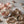 Charger l&#39;image dans la galerie, meringue gouter sucré bon gourmand moelleux tendre pur sucre glace saupoudré praline rose de lyon cacao artisanal fais maison
