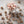 Charger l&#39;image dans la galerie, Meringues champignons saupoudrées de cacao

