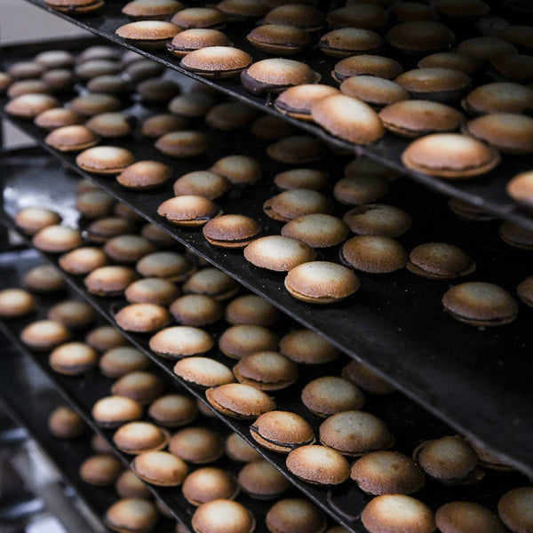 Palets pur beurre saupoudrés  - Louvat